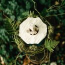 Biourne Bl&uuml;te der Erinnerung Gr&uuml;n mit geschnitzter Bl&uuml;te Ahorn