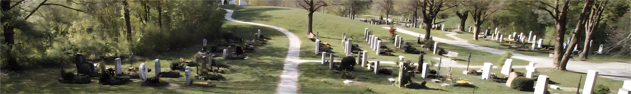Friedhof.webp